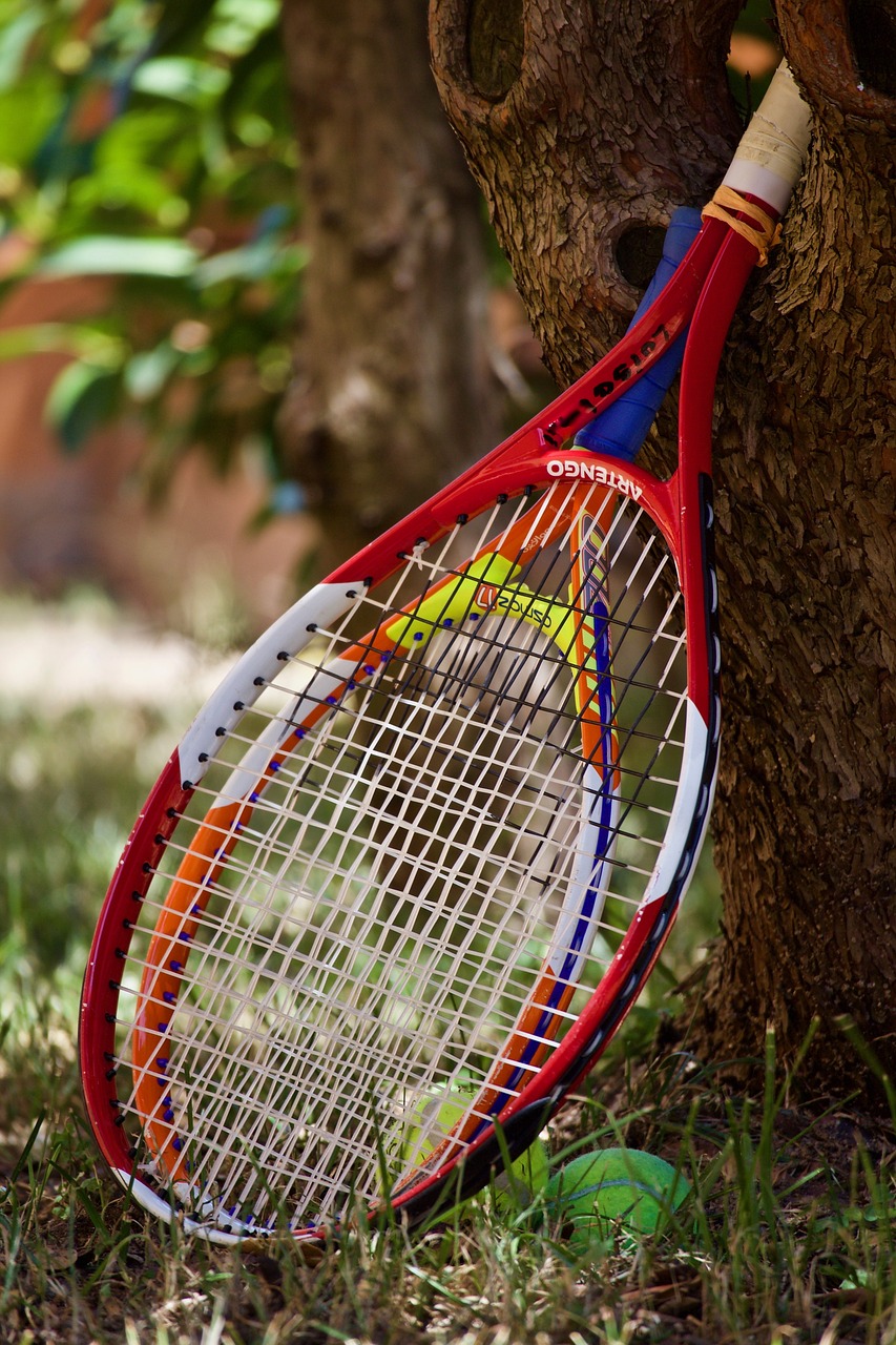 Court Conquerors: The World’s Best Tennis Players in Action 